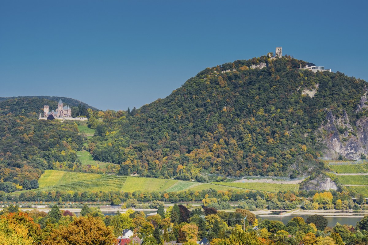 Goldener Herbst im Siebengebirge - mit Live Guide!